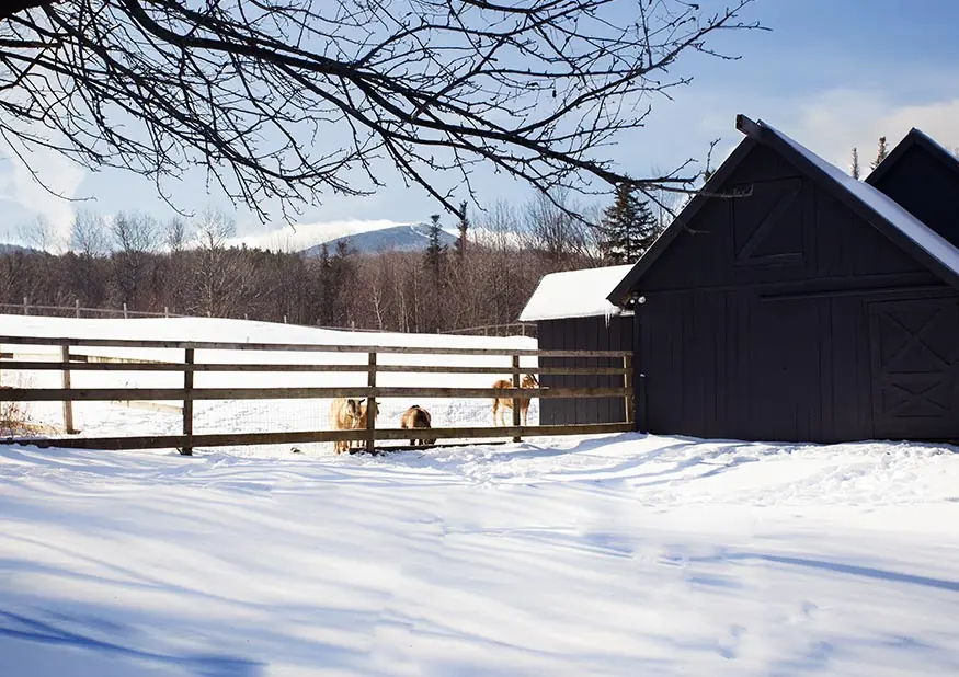 gallery-mountain meadows lodge