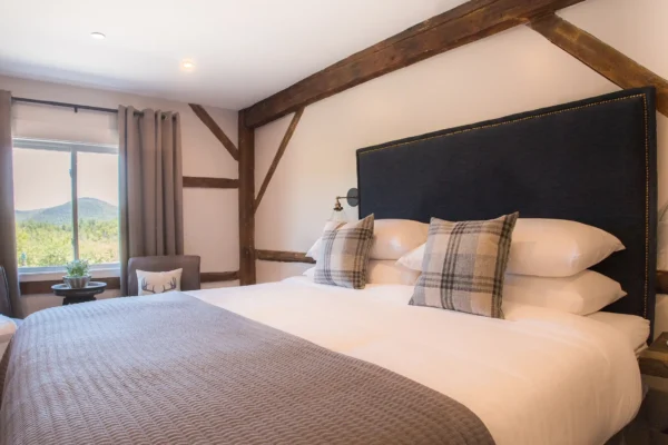 Mountain View King room