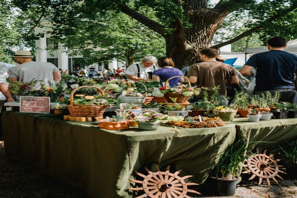 VERMONT FARMER'S MARKET